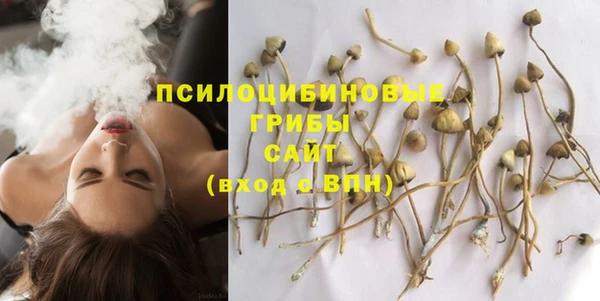 гашик Каменногорск