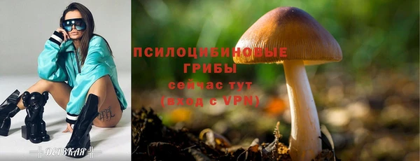 не бодяженный Инсар