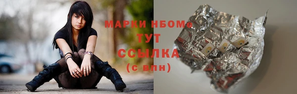 гашик Каменногорск