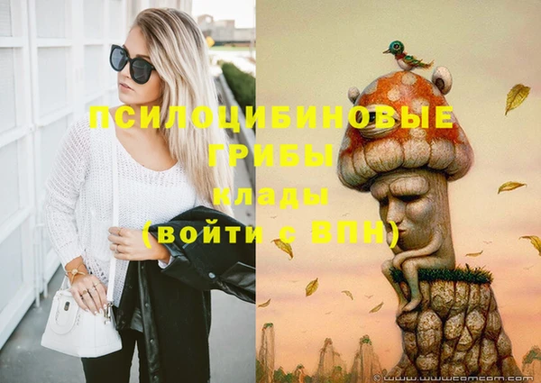 марки lsd Каменка