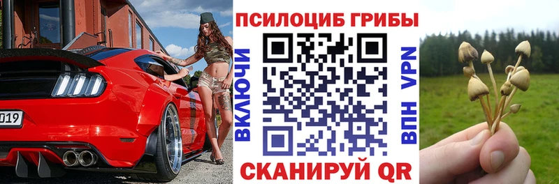 Псилоцибиновые грибы мицелий  Купить где  Разумное 
